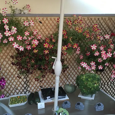 Homestay Chez Armelle